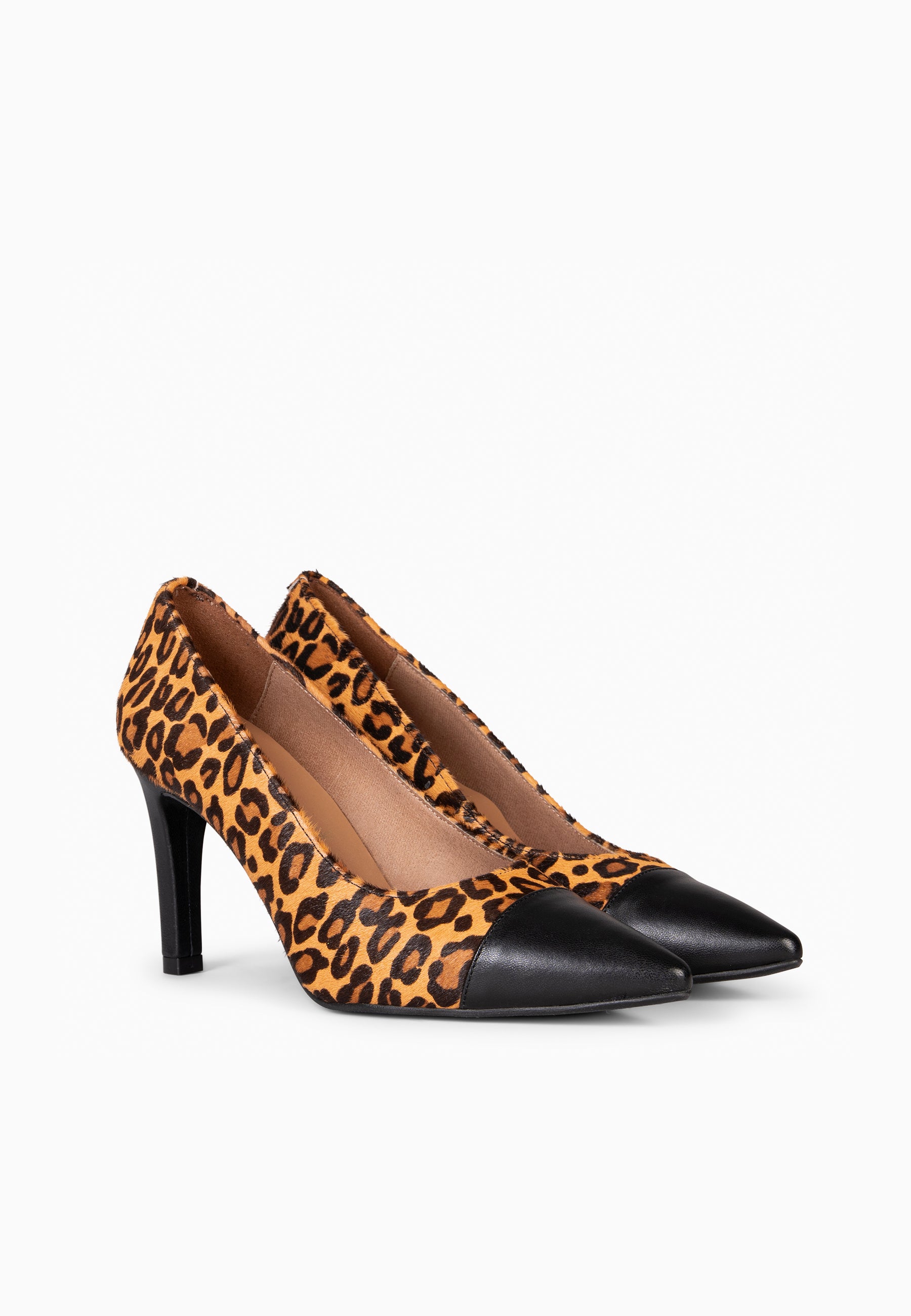 GLAM WILD - Zapatos de tacón alto animal print NEGRO LEOPARDO