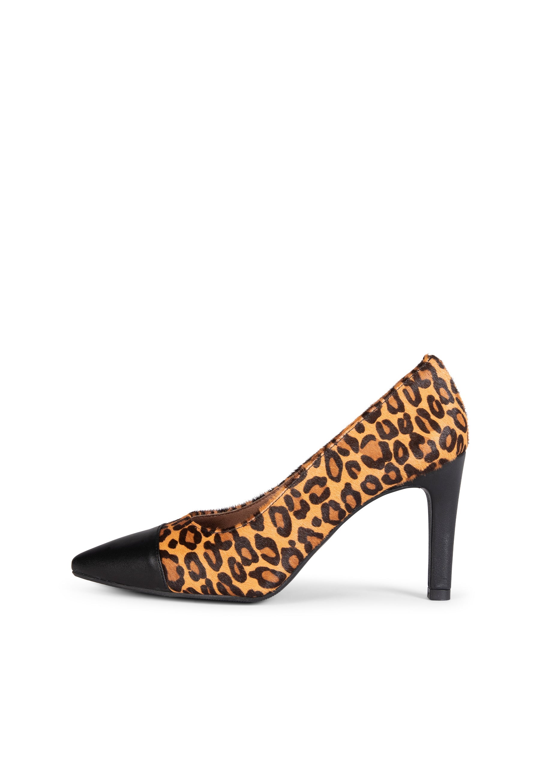 GLAM WILD - Zapatos de tacón alto animal print NEGRO LEOPARDO