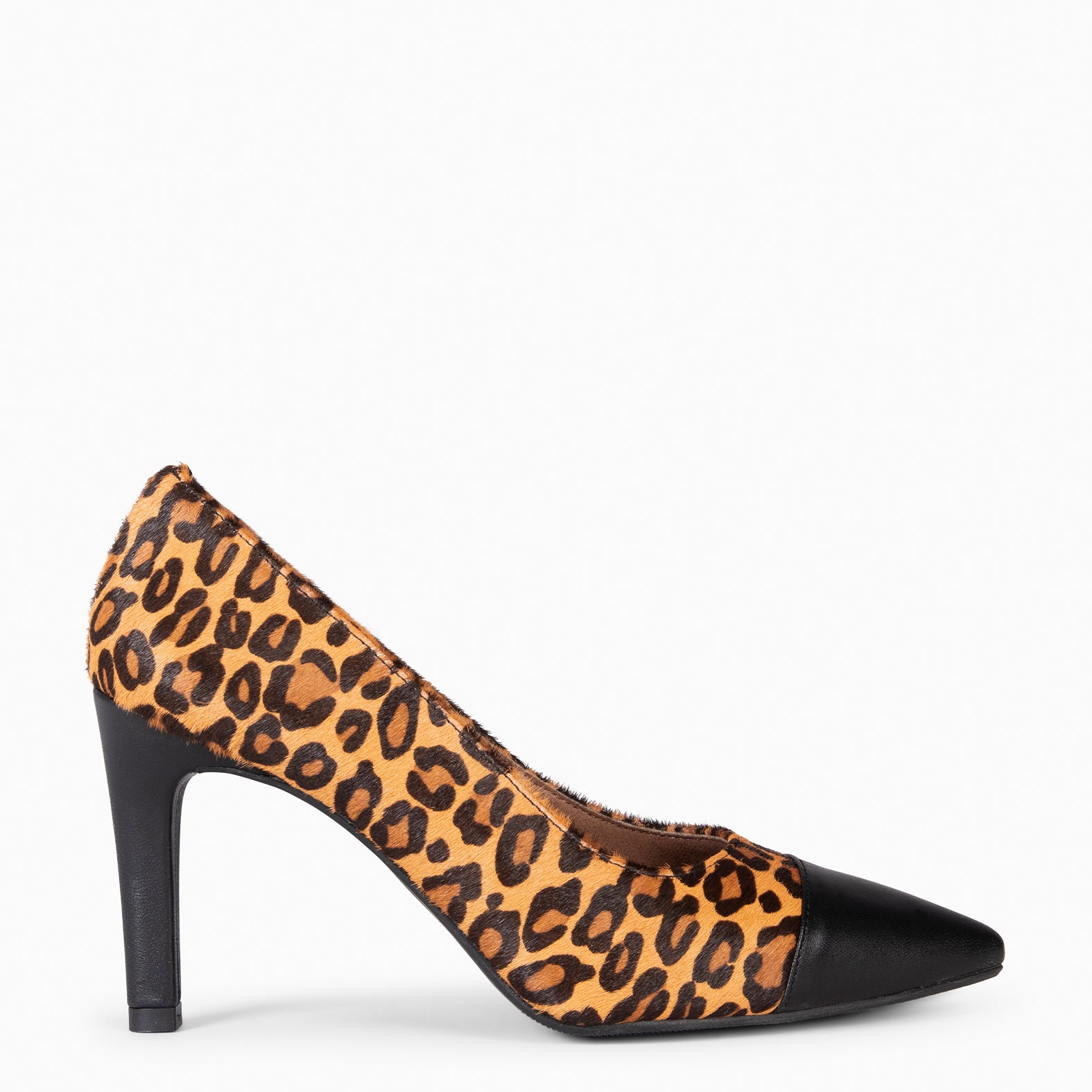 GLAM  WILD - Zapatos de tacón alto animal print NEGRO LEOPARDO