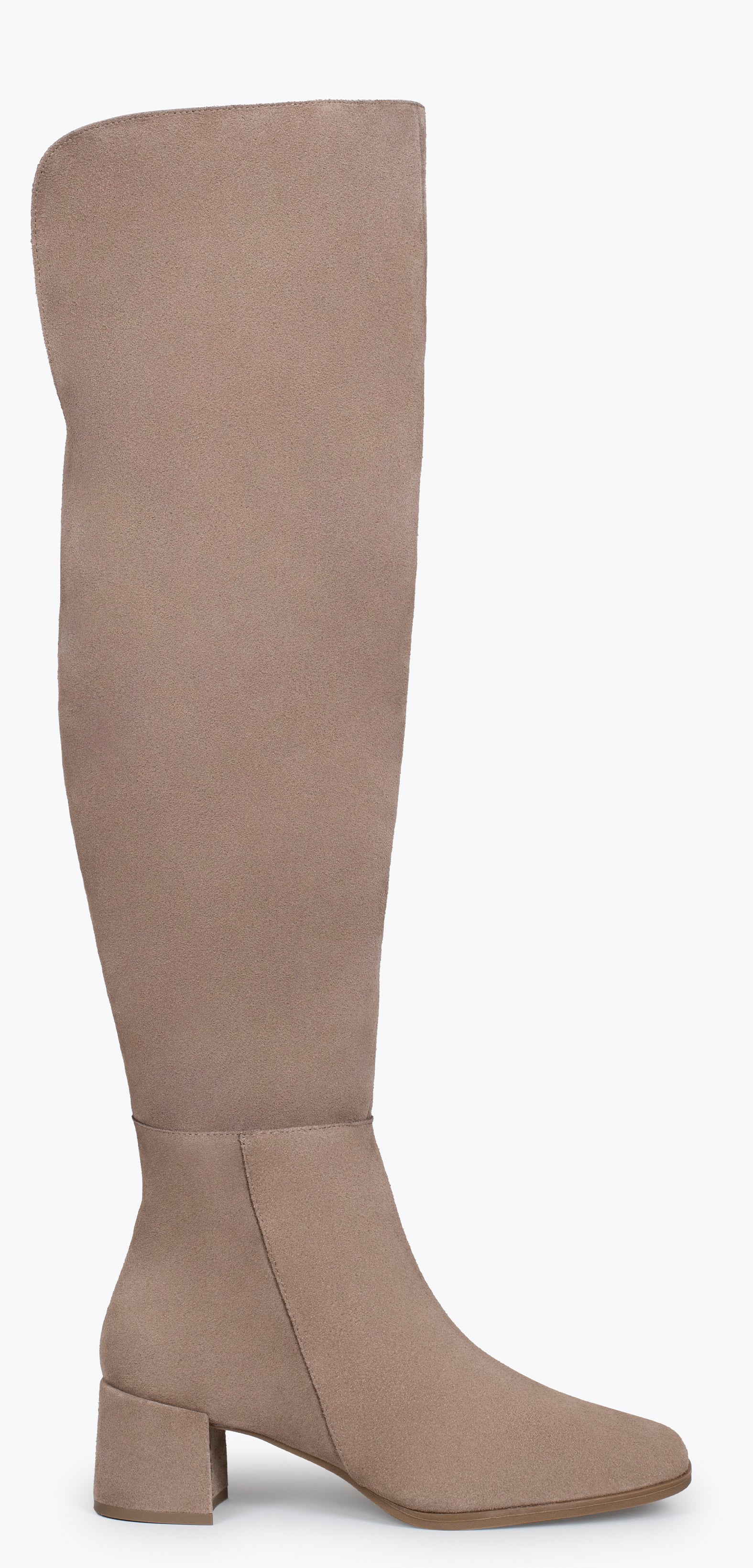 MOSQUETERAS - Botas altas de serraje TAUPE